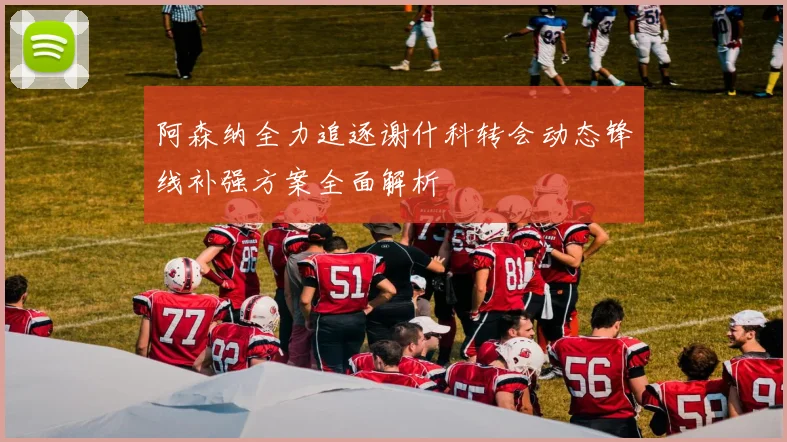 阿森纳全力追逐谢什科转会动态锋线补强方案全面解析